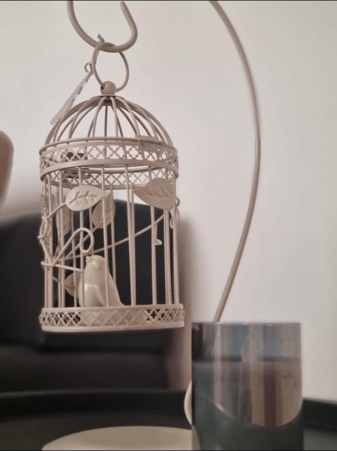 Stella Apartment Sibenik Charm&History United 외부 사진