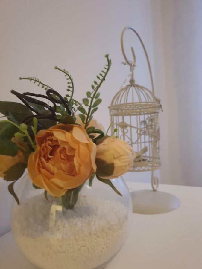 Stella Apartment Sibenik Charm&History United 외부 사진