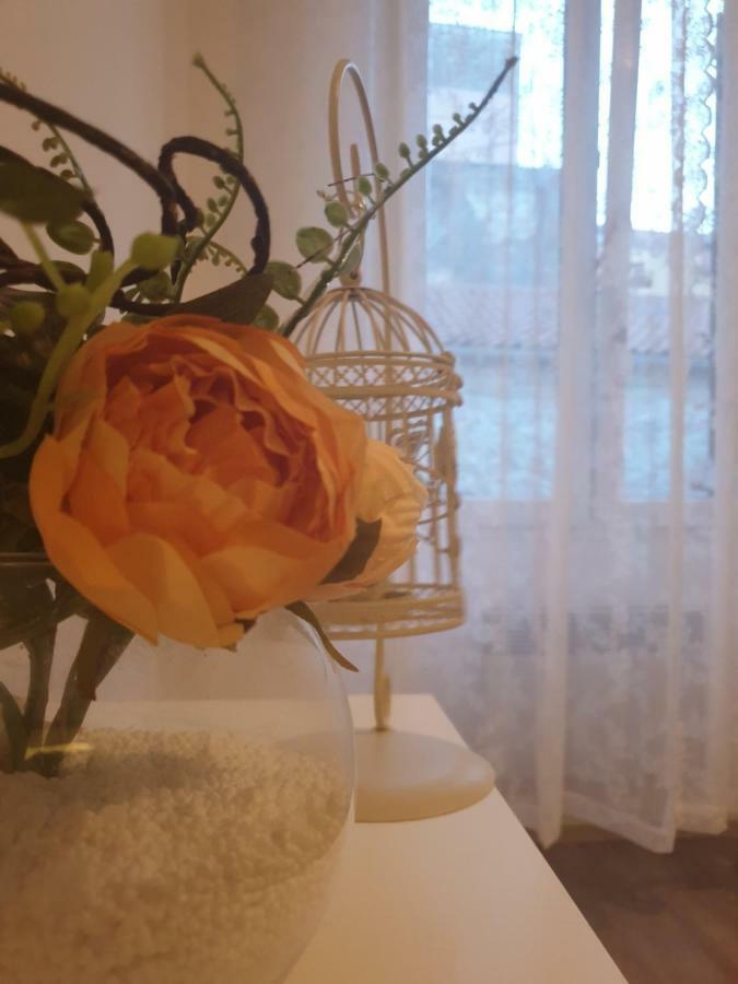 Stella Apartment Sibenik Charm&History United 외부 사진