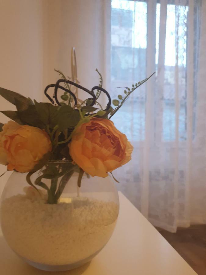 Stella Apartment Sibenik Charm&History United 외부 사진